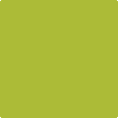 2027-20: Spring Moss  a paint color by Benjamin Moore avaiable at Clement's Paint in Austin, TX.