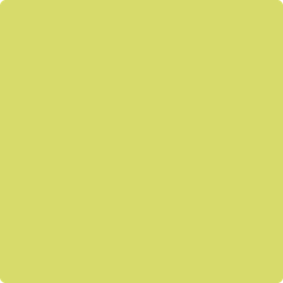 2027-40: Grape Green  a paint color by Benjamin Moore avaiable at Clement's Paint in Austin, TX.