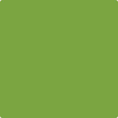 2028-10: Iguana Green  a paint color by Benjamin Moore avaiable at Clement's Paint in Austin, TX.