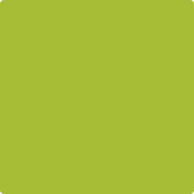 2028-30: Tequila Lime  a paint color by Benjamin Moore avaiable at Clement's Paint in Austin, TX.