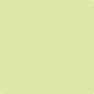 2028-50: Wales Green  a paint color by Benjamin Moore avaiable at Clement's Paint in Austin, TX.
