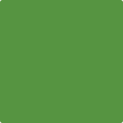 2029-10: Basil Green  a paint color by Benjamin Moore avaiable at Clement's Paint in Austin, TX.