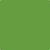 2029-20: Baby Fern  a paint color by Benjamin Moore avaiable at Clement's Paint in Austin, TX.