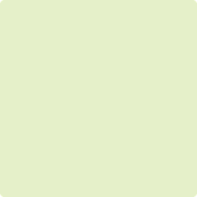 2029-60: Pale Vista  a paint color by Benjamin Moore avaiable at Clement's Paint in Austin, TX.