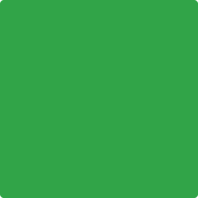 2030-10: Lizard Green  a paint color by Benjamin Moore avaiable at Clement's Paint in Austin, TX.