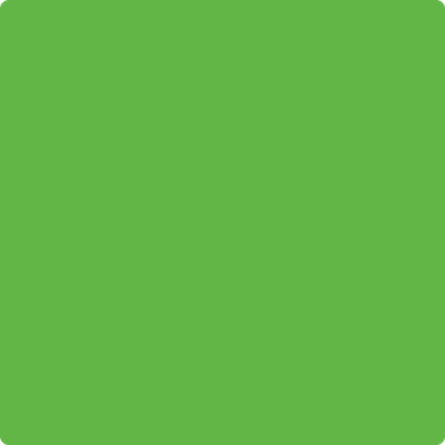2031-20: Paradise Green  a paint color by Benjamin Moore avaiable at Clement's Paint in Austin, TX.