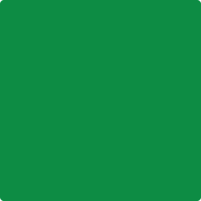 2033-10: Yellow Green  a paint color by Benjamin Moore avaiable at Clement's Paint in Austin, TX.