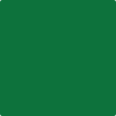 2037-10: Amazon Moss  a paint color by Benjamin Moore avaiable at Clement's Paint in Austin, TX.