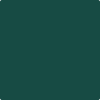 2047-10: Forest Green  a paint color by Benjamin Moore avaiable at Clement's Paint in Austin, TX.