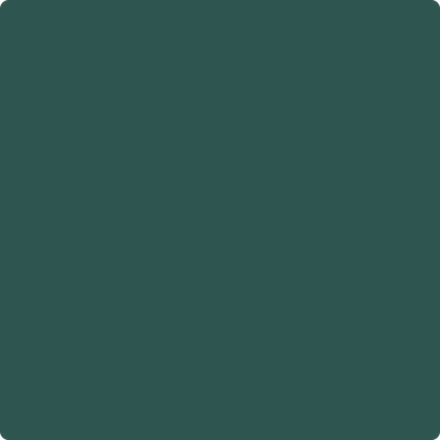2051-10: Yukon Green  a paint color by Benjamin Moore avaiable at Clement's Paint in Austin, TX.