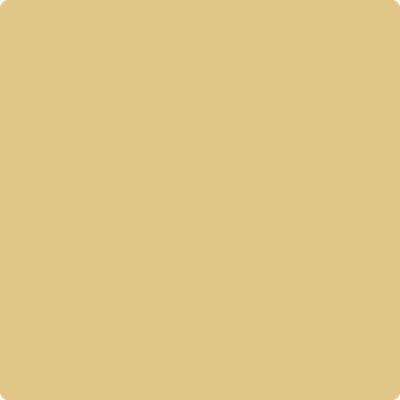 208-Da: Vinci's Canvas  a paint color by Benjamin Moore avaiable at Clement's Paint in Austin, TX.