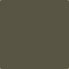 2139-20: Dakota Woods Green  a paint color by Benjamin Moore avaiable at Clement's Paint in Austin, TX.