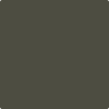 2140-10: Fatigue Green  a paint color by Benjamin Moore avaiable at Clement's Paint in Austin, TX.