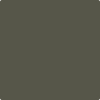 2140-20: Tuscany Green  a paint color by Benjamin Moore avaiable at Clement's Paint in Austin, TX.