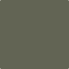2140-30: Dark Olive  a paint color by Benjamin Moore avaiable at Clement's Paint in Austin, TX.
