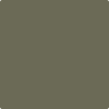 2141-30: Army Patch  a paint color by Benjamin Moore avaiable at Clement's Paint in Austin, TX.
