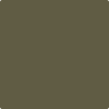 2142-10: Mediterranean Olive  a paint color by Benjamin Moore avaiable at Clement's Paint in Austin, TX.