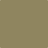 2143-20: Alligator Green  a paint color by Benjamin Moore avaiable at Clement's Paint in Austin, TX.