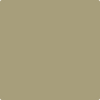 2143-30: Olive Branch  a paint color by Benjamin Moore avaiable at Clement's Paint in Austin, TX.