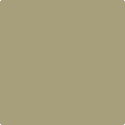 2143-30: Olive Branch  a paint color by Benjamin Moore avaiable at Clement's Paint in Austin, TX.