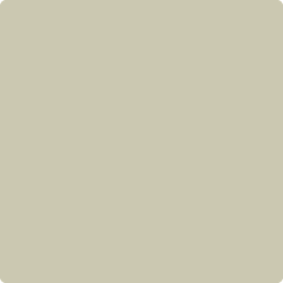 2143-40: Camoflauge  a paint color by Benjamin Moore avaiable at Clement's Paint in Austin, TX.