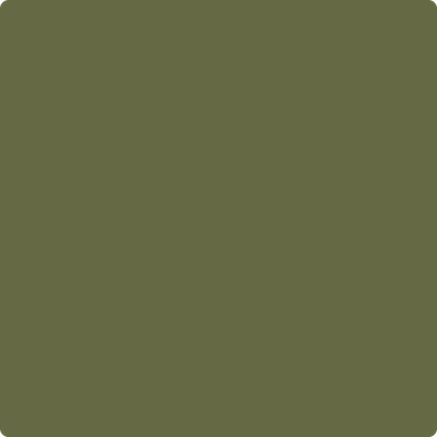 2144-10: Guacamole  a paint color by Benjamin Moore avaiable at Clement's Paint in Austin, TX.