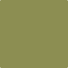 2145-20: Terrapin Green  a paint color by Benjamin Moore avaiable at Clement's Paint in Austin, TX.