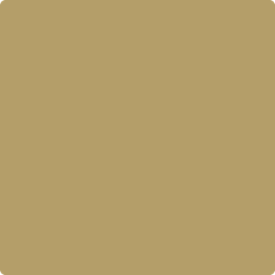 2148-30: Military Tan  a paint color by Benjamin Moore avaiable at Clement's Paint in Austin, TX.