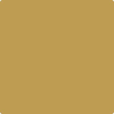 2151-30: Ochre  a paint color by Benjamin Moore avaiable at Clement's Paint in Austin, TX.