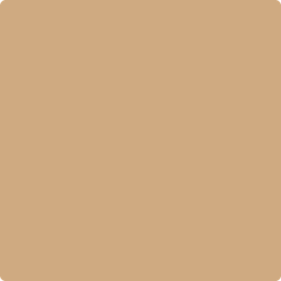 2161-40: Acorn Yellow  a paint color by Benjamin Moore avaiable at Clement's Paint in Austin, TX.