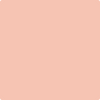 2170-50: Teacup Rose  a paint color by Benjamin Moore avaiable at Clement's Paint in Austin, TX.