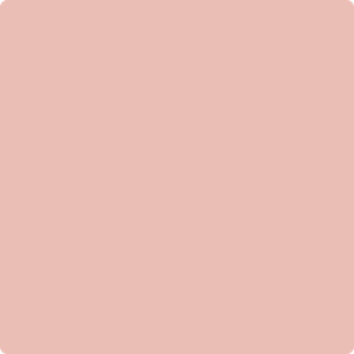 2174-50: Eraser Pink  a paint color by Benjamin Moore avaiable at Clement's Paint in Austin, TX.