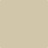 234-Crisp: Khaki  a paint color by Benjamin Moore avaiable at Clement's Paint in Austin, TX.