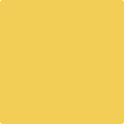 349-Yellow: Brick Road  a paint color by Benjamin Moore avaiable at Clement's Paint in Austin, TX.