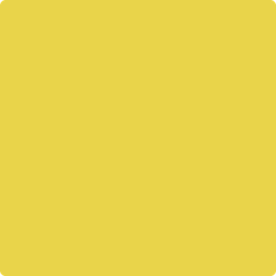 363-Lemon: Grove  a paint color by Benjamin Moore avaiable at Clement's Paint in Austin, TX.