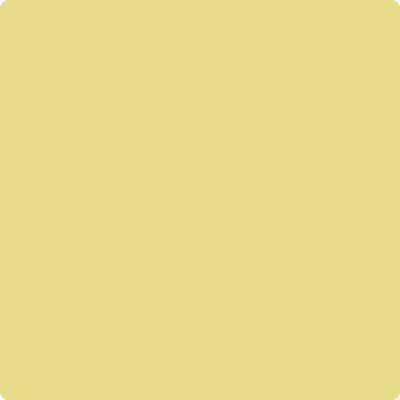 369-Mulholland: Yellow  a paint color by Benjamin Moore avaiable at Clement's Paint in Austin, TX.