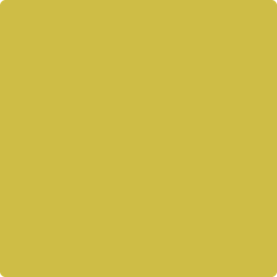 371-Bright: Gold  a paint color by Benjamin Moore avaiable at Clement's Paint in Austin, TX.