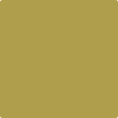 385-Savannah: Moss  a paint color by Benjamin Moore avaiable at Clement's Paint in Austin, TX.