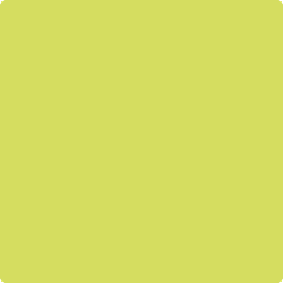 397-Chamomile:  a paint color by Benjamin Moore avaiable at Clement's Paint in Austin, TX.