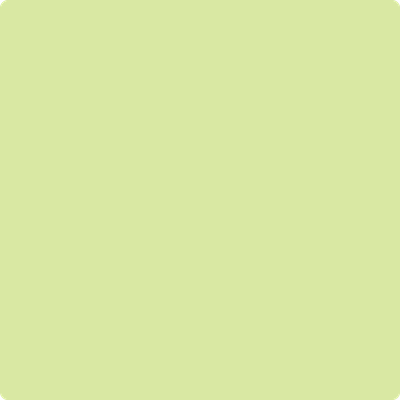402-Neon:  a paint color by Benjamin Moore avaiable at Clement's Paint in Austin, TX.