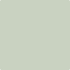 471-Tea: Light  a paint color by Benjamin Moore avaiable at Clement's Paint in Austin, TX.