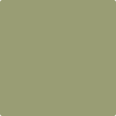 482-Misted: Fern  a paint color by Benjamin Moore avaiable at Clement's Paint in Austin, TX.