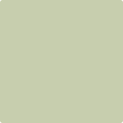 486-Spring: Meadow  a paint color by Benjamin Moore avaiable at Clement's Paint in Austin, TX.
