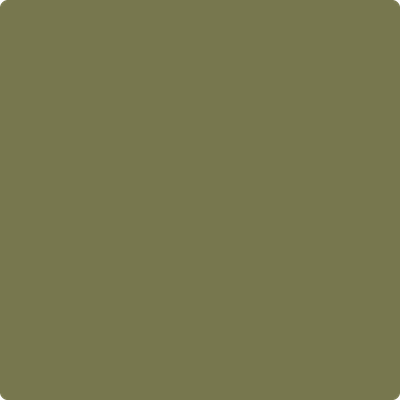 497-Shady: Lane  a paint color by Benjamin Moore avaiable at Clement's Paint in Austin, TX.