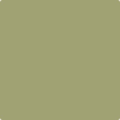 503-Fraser: Fir  a paint color by Benjamin Moore avaiable at Clement's Paint in Austin, TX.