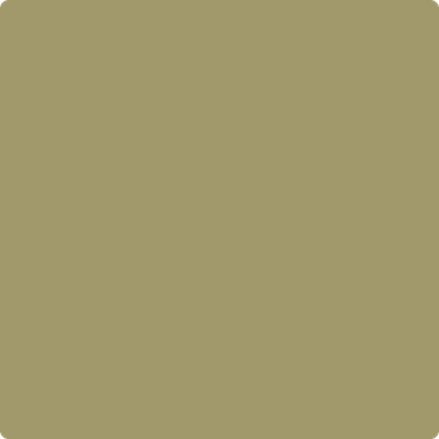 524-Hiking: Path  a paint color by Benjamin Moore avaiable at Clement's Paint in Austin, TX.