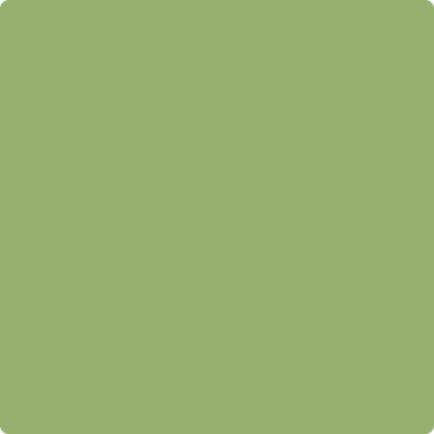 544-Kiwi:  a paint color by Benjamin Moore avaiable at Clement's Paint in Austin, TX.