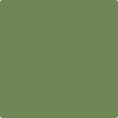 546-Courtyard: Green  a paint color by Benjamin Moore avaiable at Clement's Paint in Austin, TX.