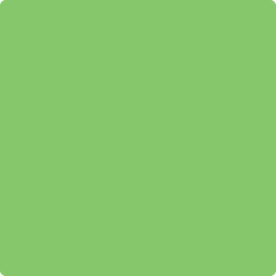 558-Killala: Green  a paint color by Benjamin Moore avaiable at Clement's Paint in Austin, TX.