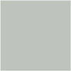 AF-490: Tranquillity  a paint color by Benjamin Moore avaiable at Clement's Paint in Austin, TX.
